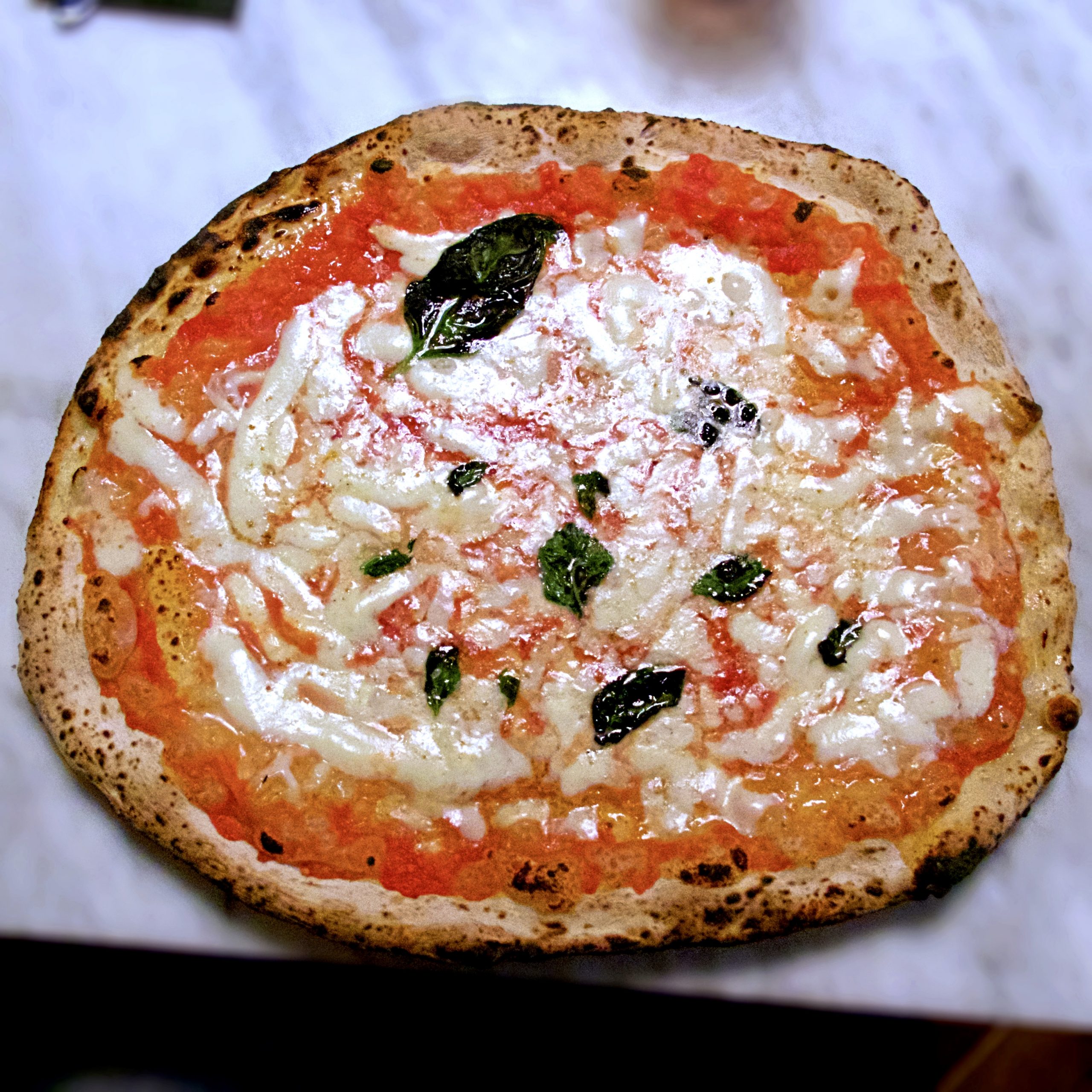 Margherita doppia mozzarella di L'Antica Pizzeria da Michele Milano