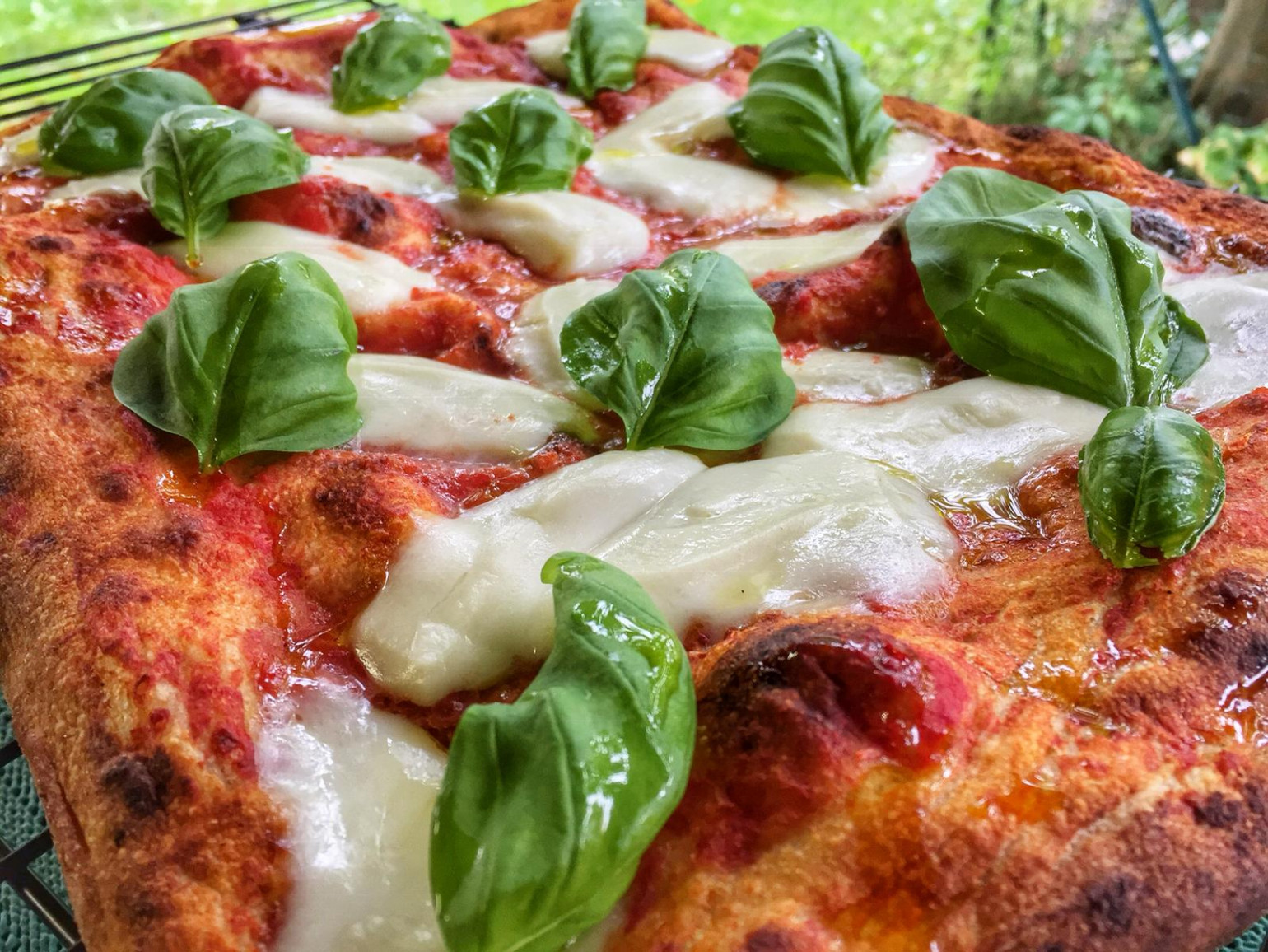 Pizza In Teglia Fatta In Casa Il Metodo Gli Strumenti La Ricett