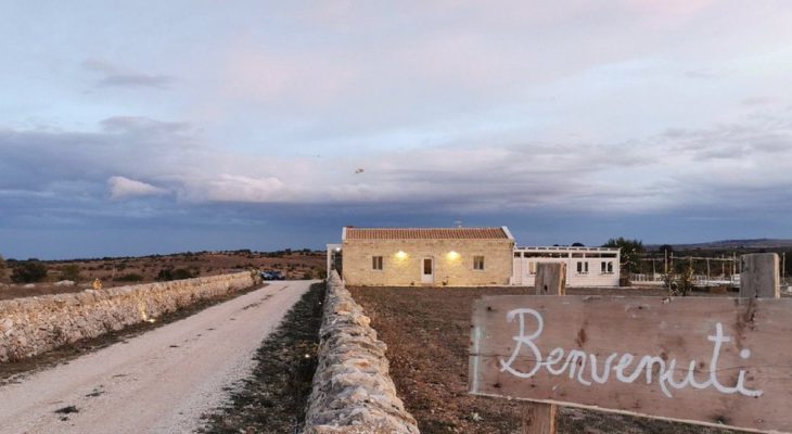 PizzaFarm di Francesco Martucci