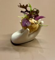 Entrée (pizzeria Seu Pizza, Roma)