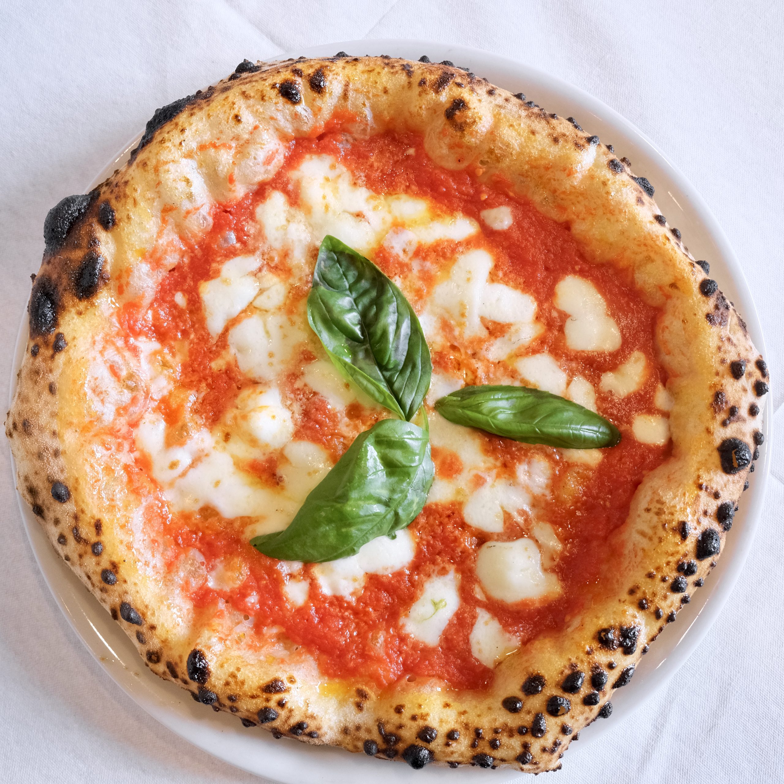Lievitazione e maturazione della pizza