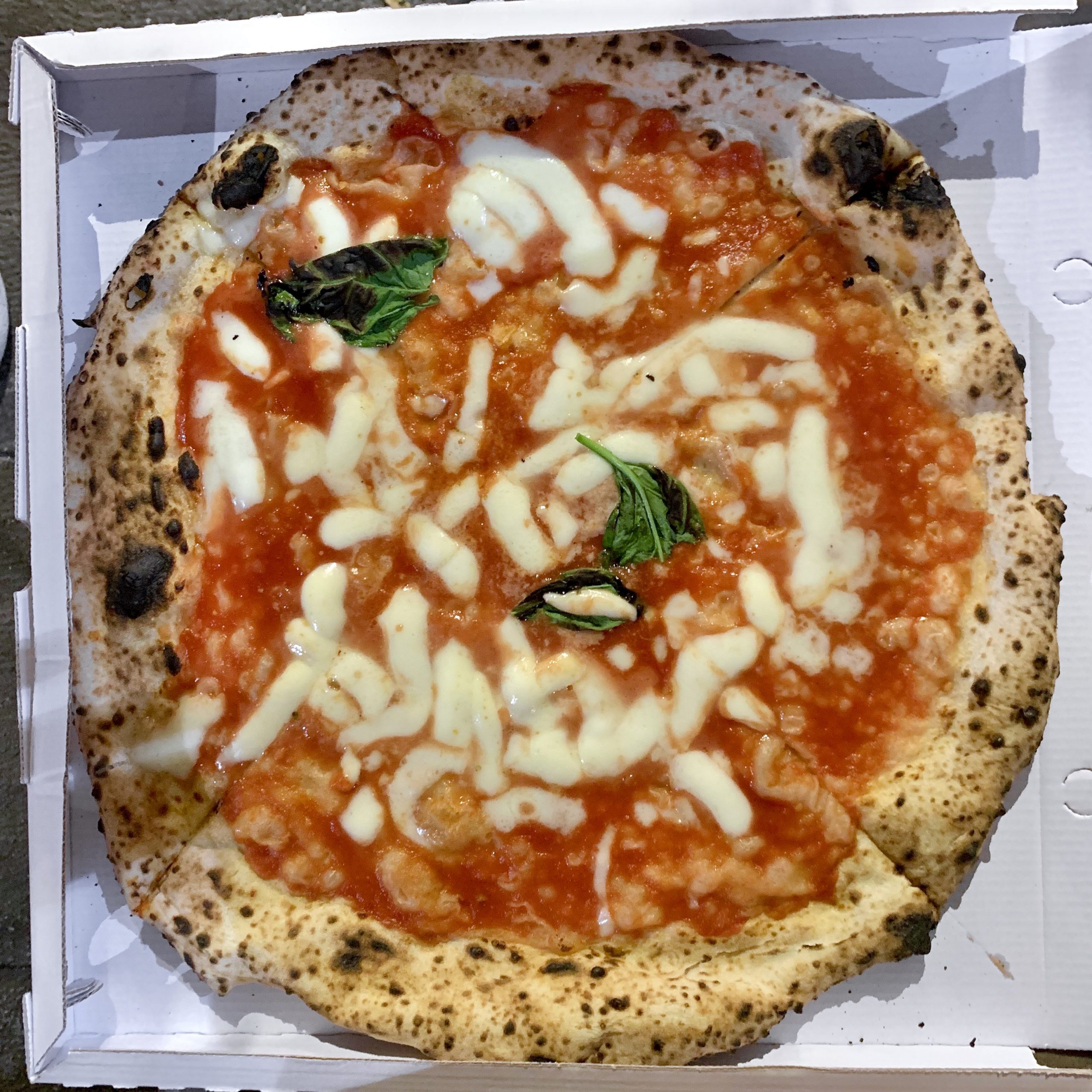 Margherita (L'Antica Pizzeria Da Michele Bologna)