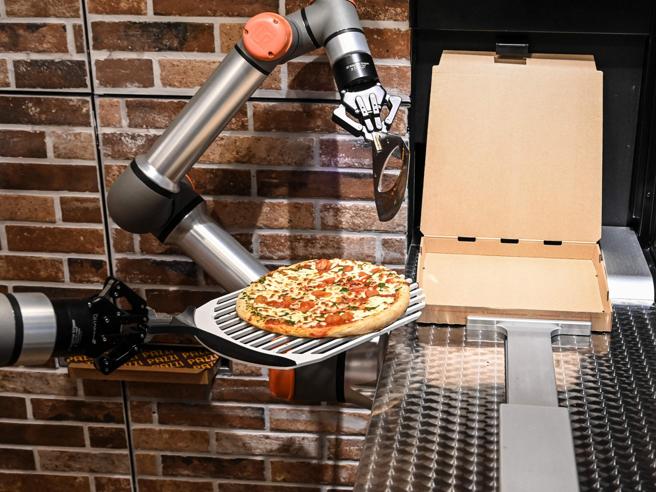 Pizza robot