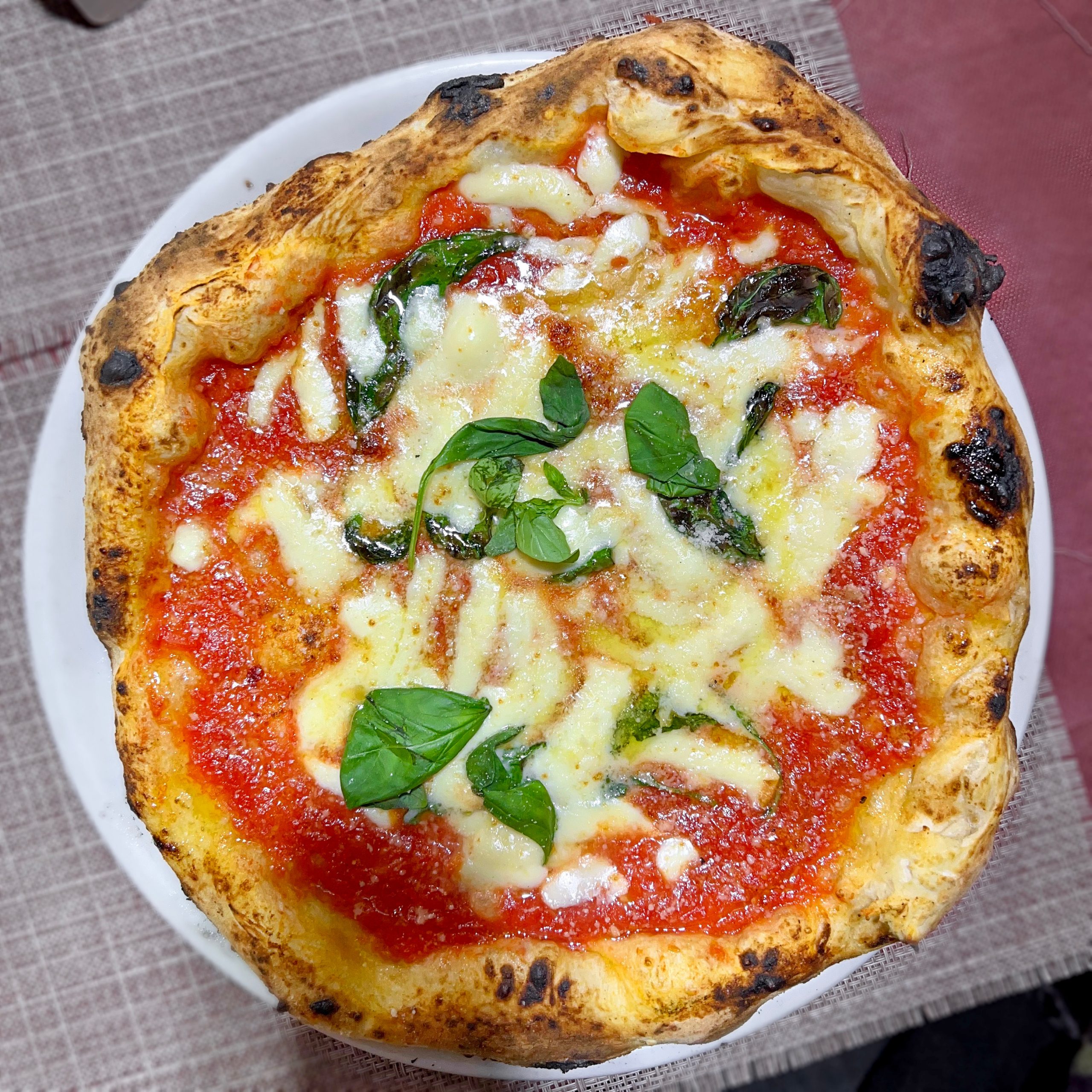 Pizza Margherita (Pizzeria Del Purgatorio, Napoli)